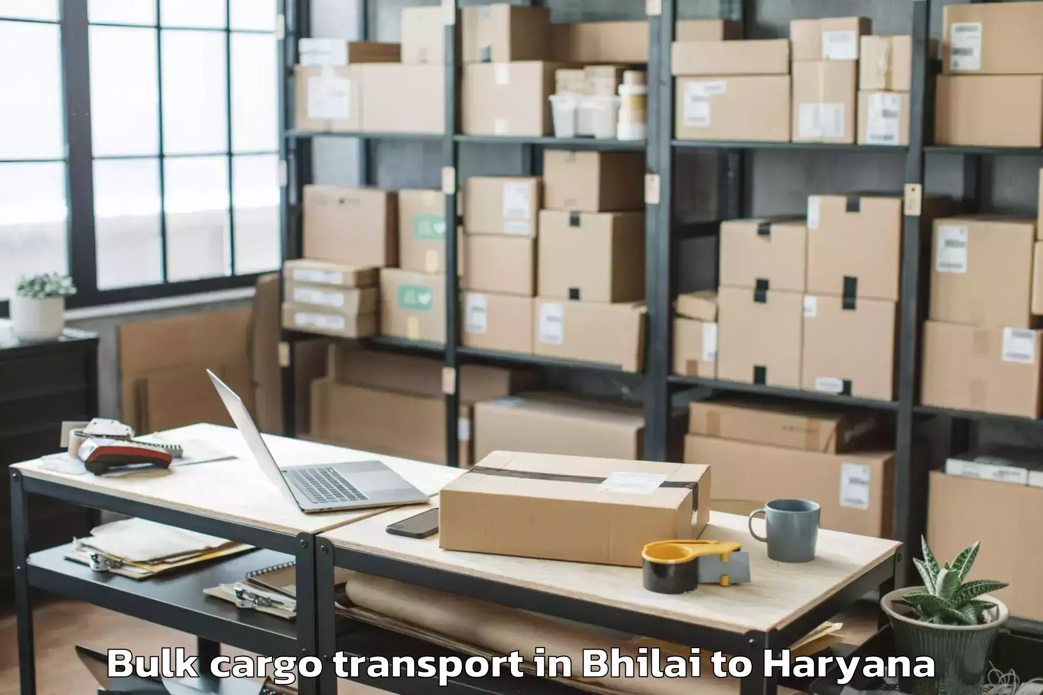 Book Bhilai to Hissar Airport Hss Bulk Cargo Transport Online